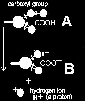 Ionske veze a) u molekulama ionske kulonske