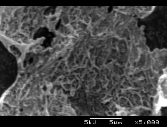 Ca1-xGdxMnO3