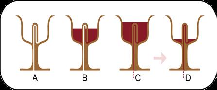 Legenda paharului lui Pitagora Cum funcţionează cupa specială care se goleşte singură şi nu te lasă să bei fără măsură?