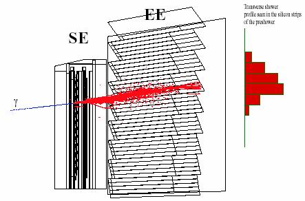Слој детектора који се састоји од силицијумских трака, а налази се непосредно иза абсорбера, мери депоновану енергију честица ЕМ каскаде.