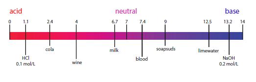 ph представља меру активитета водоникових јона Математички се записује као негативан логаритам концетрације H+ јона: ph=-log[h+] ph За вредности мање