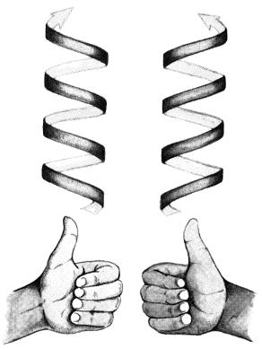 -Uzvojnica: polipeptidni lanac je tijesno spiralno uvijen tvoreći štapićastu strukturu.