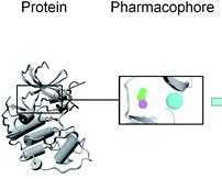 Farmakofor: komplet steričkih i elektronskih svojstava neophodan za optimalnu interakciju sa specifičnom biološkom metom.