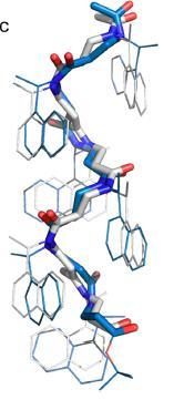 Bioaktivni peptoidi sadrže kationske, hidrofobne aromatske ili alifatske bočne ogranke kako bi se uspostavila helična struktura poželjnih hidrofobnih svojstava, nužna za antimikrobnu aktivnost