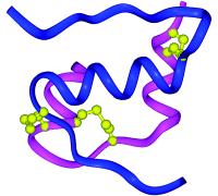 Inzulin, hormon koji izaziva cijeli spektar različitih bioloških odgovora nakon vezivanja na površinu receptora, sastoji se iz dvaju peptidnih lanaca [A (21