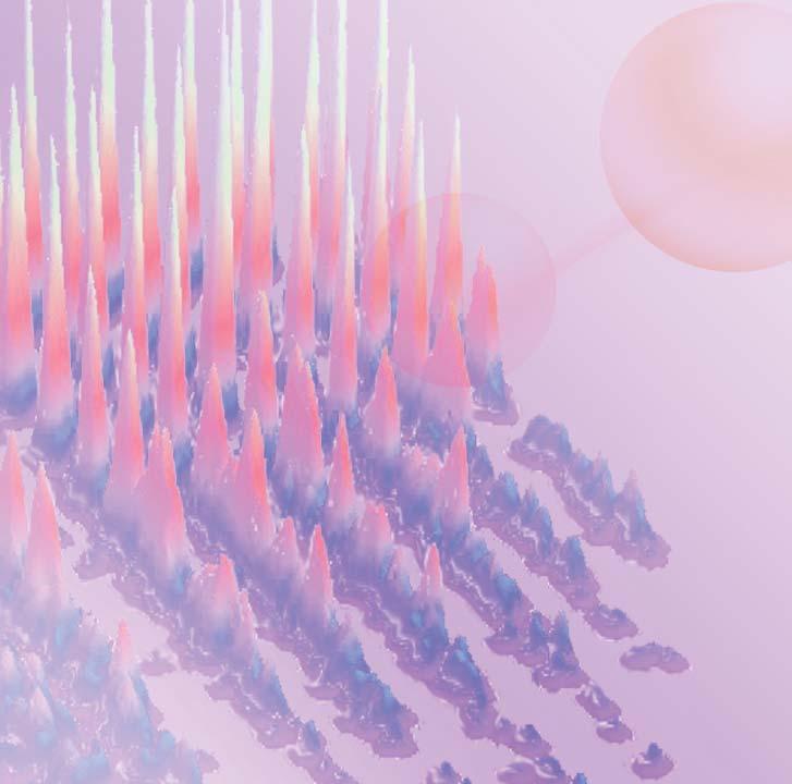 BD