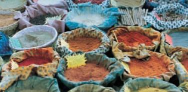 آلودگی و النهگزینی حشرات در شرایط انبارداری داشت )شکل 4(. دز در حدود kgy 5 بار میکروبی دانههای تخریب شده بدون اعمال پرتوفرآوری حرارتی را کاهش داد.