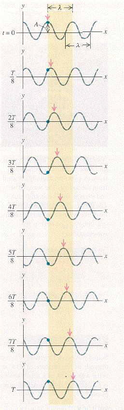 o Sinusni valovi: kontinuirani slijed sinusoidalnih poremećaja. Točka se pomiče gore-dolje uz period T, a križić pomaknut za t - x/v. To znači da križić ima isti obrazac kao u ranije vrijeme t - x/v.