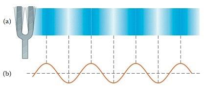 Zvučni valovi - najvažniji primjer longitudinalnih valova - zvuk putuje kao poremećaj medija (zrak, voda.