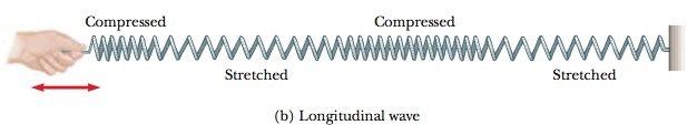 Vrste valova - kod longitudinalnih valova, dijelovi medija titraju u smjeru paralelnom smjeru širenja vala - primjer: zvučni valovi - kod zvučnih valova poremećaj se manifestira u vidu područja