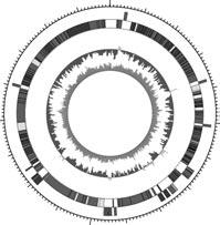 10 LPXTG 16 - L C S100A8 A9 cathelicidin LL-37 IFN- MIG CXCL9 albumin Protein PAB albumin 17 albumin 20 SufA α - helical cathelicidin C-X-C fibrinogen fibrin network 18 Protein FAF F.