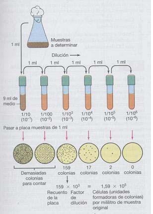 TÉCNICAS DE ESTERILIZACIÓN E MEDIOS DE CULTIVO E CONSERVACIÓN DE MICROORGANISMOS (Figura 3).