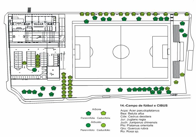 MÉTODO CIENTÍFICO E TÉCNICAS DE MOSTRAXE ZONA: 14 Campo de fútbol e CIBUS TAREFA: Puntos. Rexistra as coordenadas de cada un dos 15 bidueiros (Betula alba) que están marcados no plano adxunto.