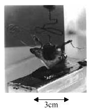 First Transistor and First Integrated Circuit John Bardeen, William Shockley and Walter