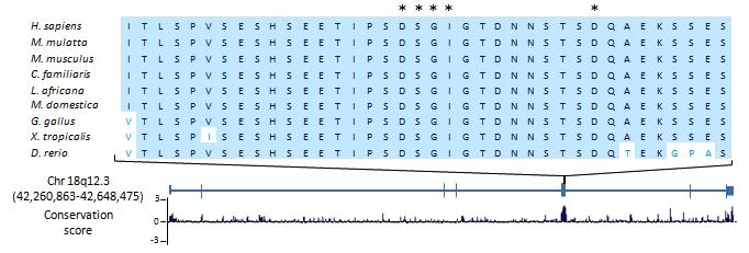 Supplementary Figure 1. Alignment of amino acids within the SKI domain of SETBP1 from different species. Conserved amino acids are shown in dark blue with shadow.