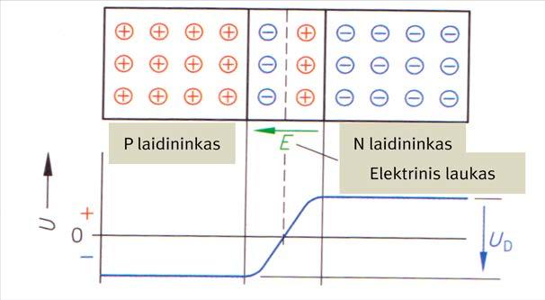 10 pav. Difuzinė įtampa 11 pav.