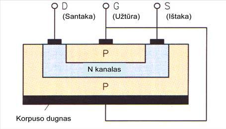 59 pav. P-FET skerspjūvis 60 pav. N kanalo uždarymo sluoksnio FET Išilgai kanalo susidaro įtampos kritimas (61 pav.), kuris nusako srovės tekėjimo plotį.