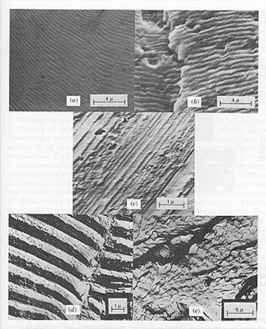 conditions striations - sliding of slip planes -