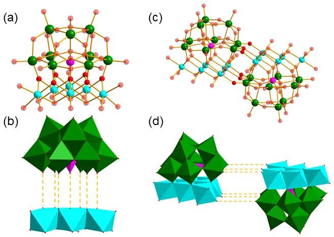 Fig. S2 The ball-and-stick (a) and polyhedral (b) of the connection between SiW 9 anion and {Ni 6 } cluster.
