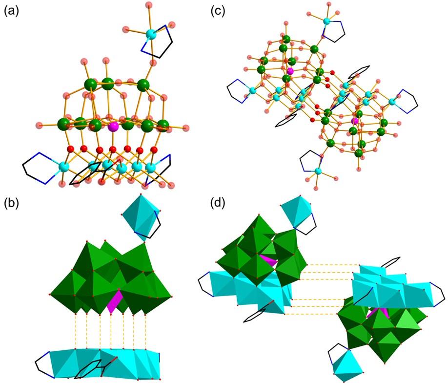 Fig. S4 The ball-and-stick (a) and polyhedral (b) of the connection between SiW 9 anion and Ni 6 L(en) 2 cluster containing ligands.