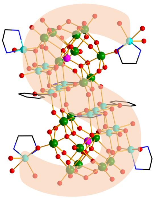 H atoms and water molecules are omitted for clarity.