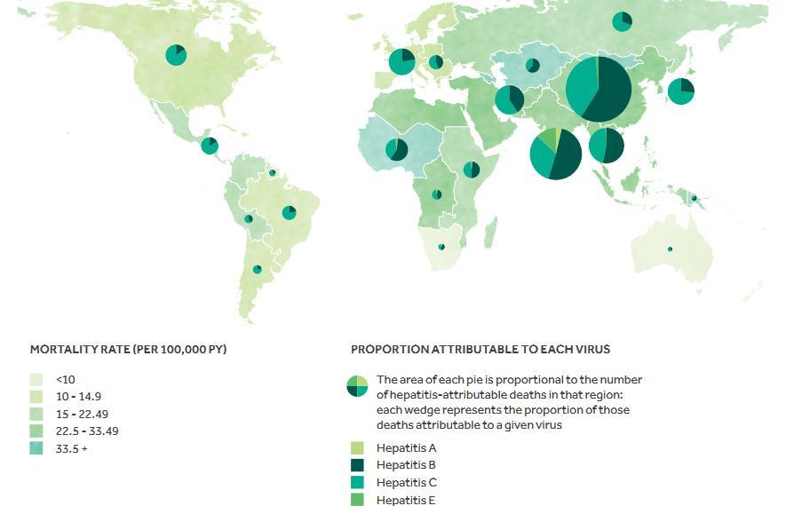 Porazdelitev smrti zaradi virusnega hepatitisa v svetu v letu