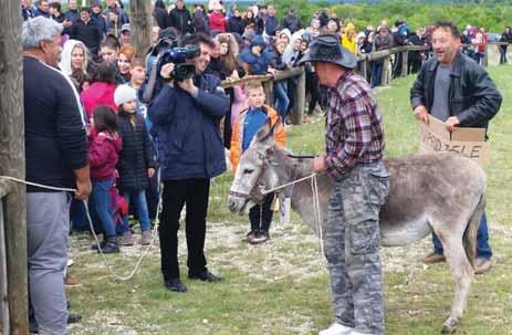 Mihovil Cota kiše u predvečernjim satima nisu održani finalni susreti balotašica i balotaša, te potezanje konopa.