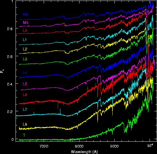 http://www.stsci.