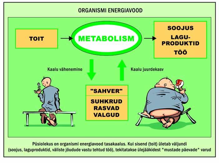 Laialivalgumine on pöördumatu selles mõttes, et ebaühtlase jaotusega (st madalama entroopiaga) algseisund enam kunagi ei taastu.