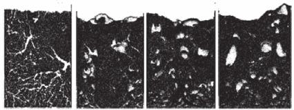 Q upper γ = Q upper + Q lower (2) Qupper Qlower DEM-CFD