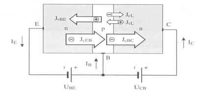 Odvisno od razporeditve polprevodniških plasti, dobimo dva tipa tranzistorja: Tranzistor ima tri priključke, ke, ki se imenujejo BAZA, KOLEKTOR in EMITOR.