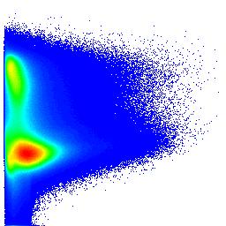 (DAPI