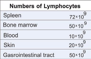 تكنيك Flowcytometery پایش بیماری )Monitoring( T CD با استفاده از تکنیک فلوسایتومتری و تعیین نسبت 4 T CD8 با این روش امکان افتراق T Cell از B Cell وجود ندارد.