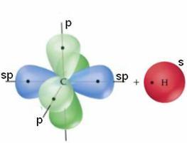 puri; ei îşi suprapun coliniar câte un orbital hibrid sp leg.