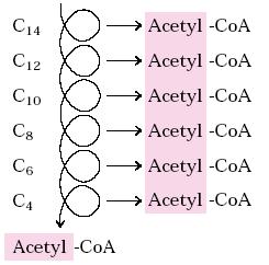 Các phản ứng