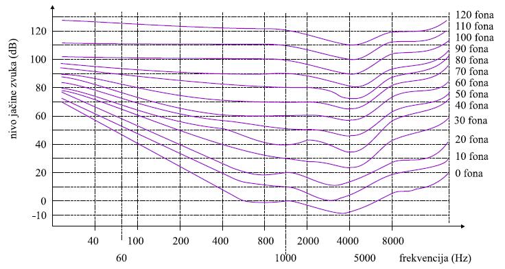 Слика 5- Графички приказ везе фреквенције(hz), интензитета звука(db) и субјективног осећаја јачине звука(fon) (преузето из Слушни апарати, Љ. Пантелић, 2013.