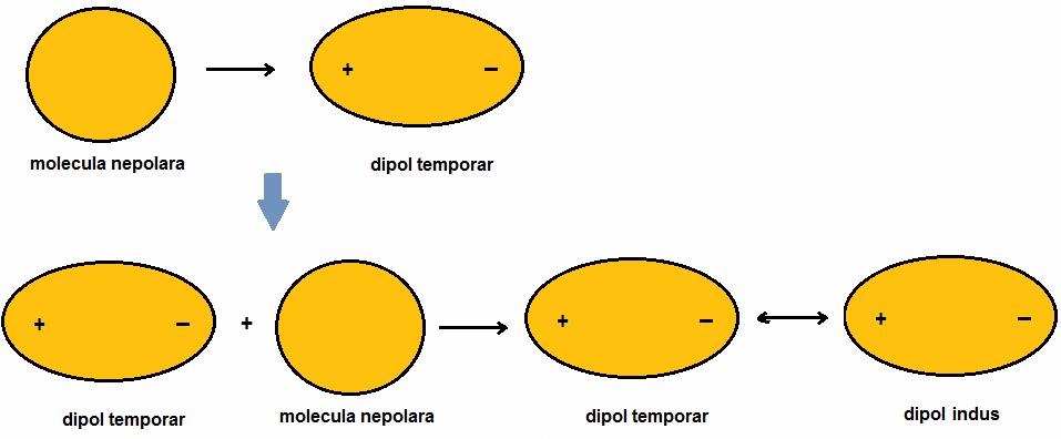 Clasificarea forţelor van der Waals: 1.