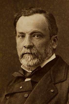 Paster (1859-1864): precizni eksperimenti demantuju spontanu
