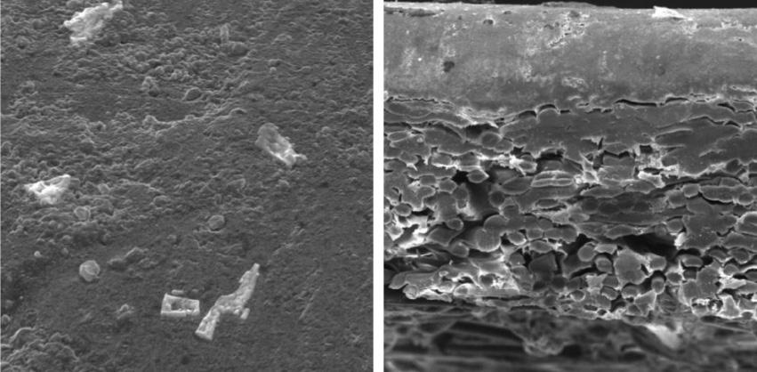 فیلتراسیون گرفتگیها و انسداد حفرات ایجاد شده بین حفرات و سطح غشاء توسط ذرات موجود در خوراک الف( سطح جانبی غشای PAN