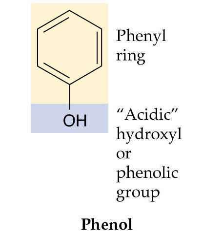 Osnova za sintezo fenilpropanoidov je