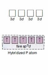 d-ortbitala Hibridizovani atom PP