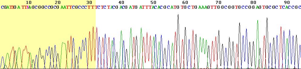 Secuenciación automática do ADN Na seguinte figura móstrase un exemplo dunha secuencia obtida polo método automático de secuenciación.