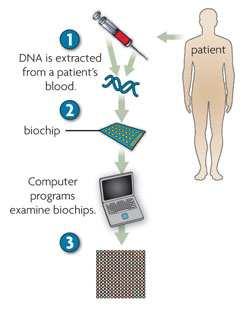 Hibridación mediante sondas de ADN: Biochips Biochips: dispositivos de pequeno tamaño