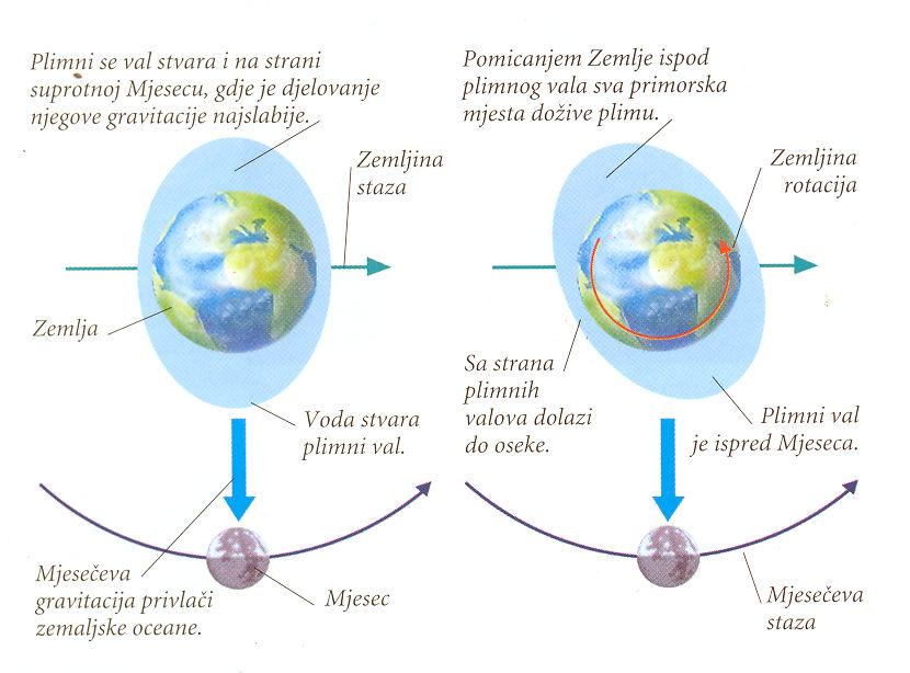 plimnih valova na obje strane Zemlje uzrokovanih Mjesečevom gravitacijom (Slika 7.). Slika 7.