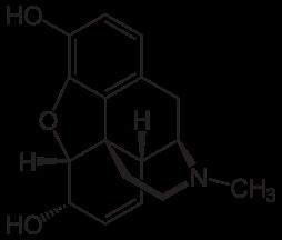 Analgesiko opiazeoak.