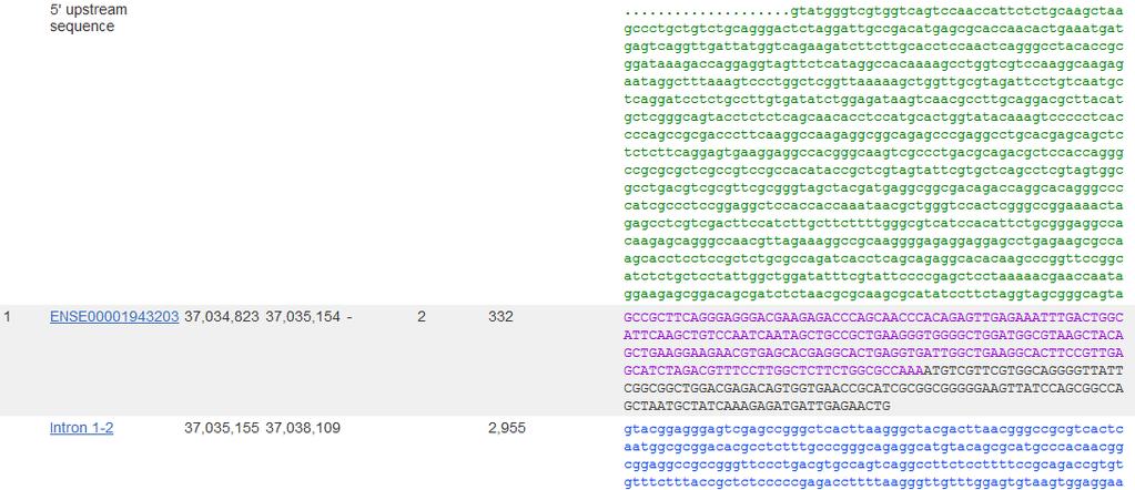 Stran Ensembl nam pokaže gen, kot ga poznamo