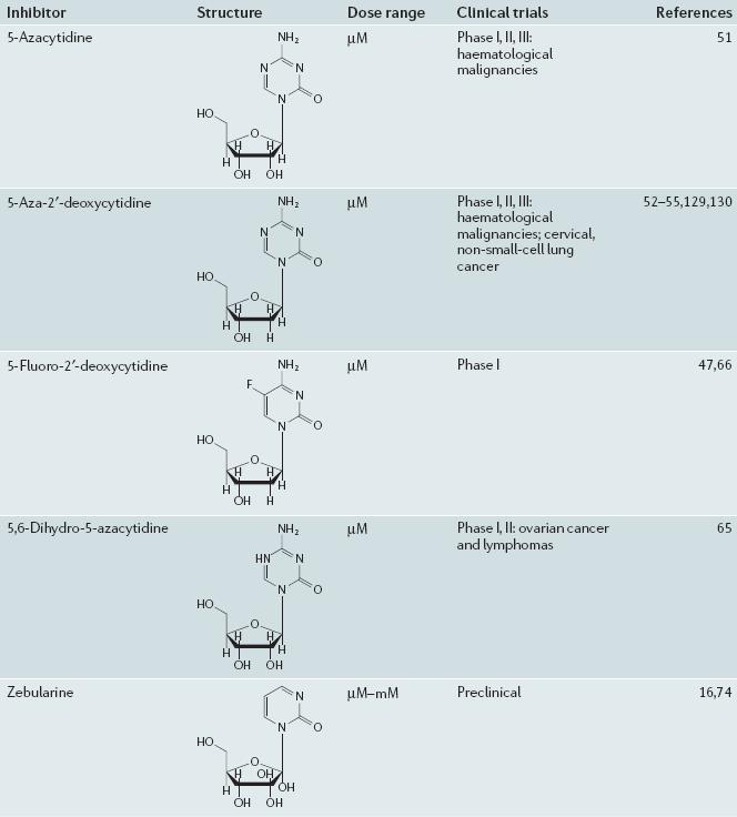 Inhibitorji DNA