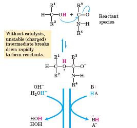 Mehanizem encimskih reakcij: Specifična/splošna kislinsko-bazna kataliza