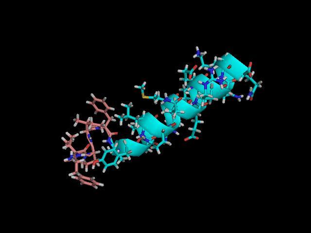 Peptid 22 AK Sekrecija iz duodenuma Stimulus za lučenje MOTILIN 1. Prisustvo hrane u duodenumu 2.