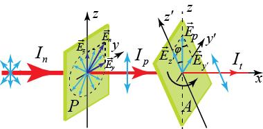vectorului luminos E care se produc într-o singură direcţie z (fig. 5.4). Acţiunea polarizorului P este similară cu cea a fantei din figura 5.